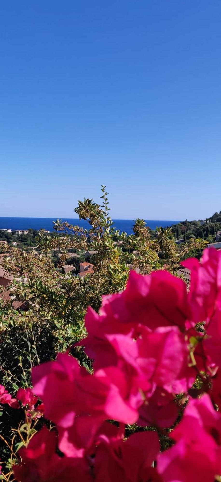 "Ti Sable" Agreable Studio Climatise, Jolie Vue Mer, Piscine A Cavalaire Sur Mer Golfe De St-Tropez Exterior photo